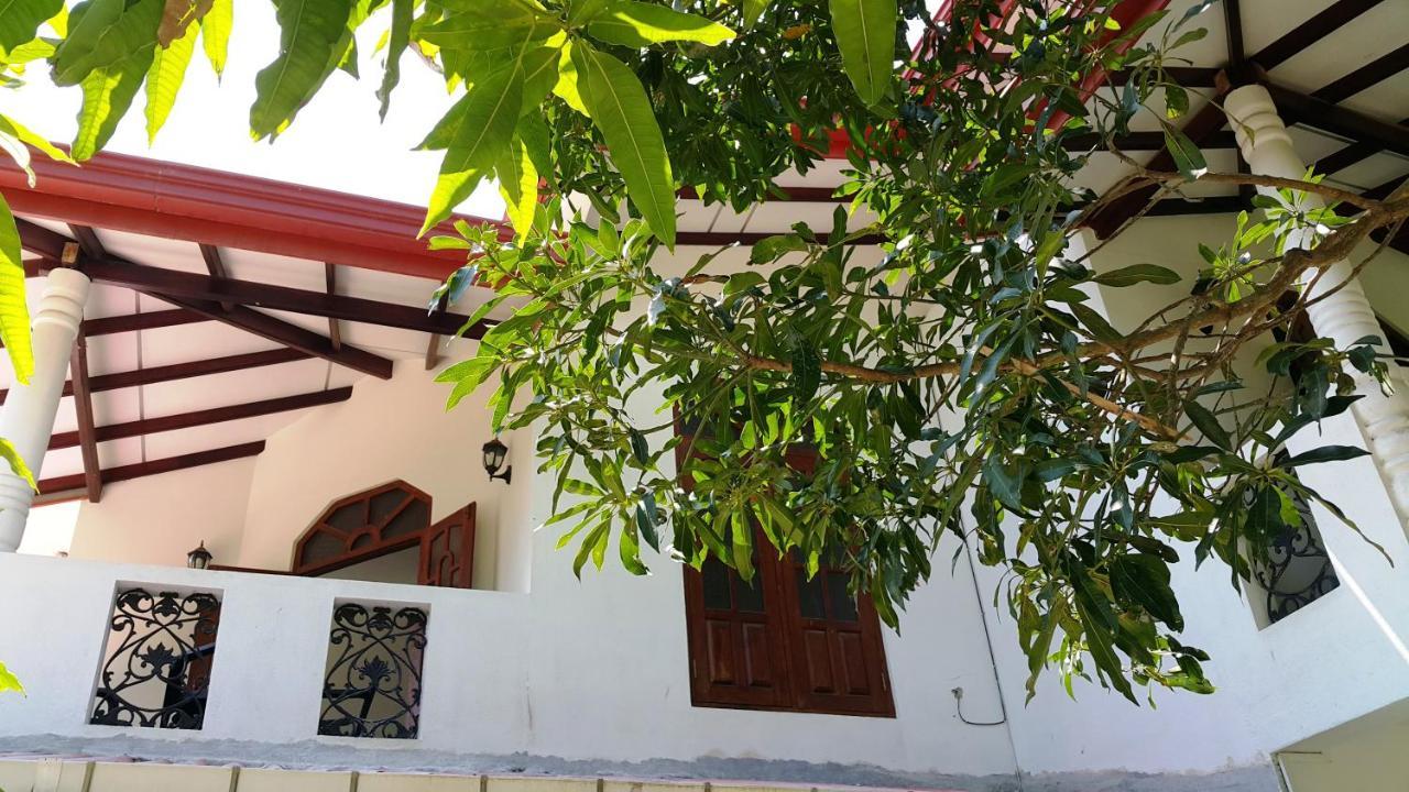 New Chili Lodge Mirissa Exterior foto